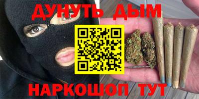 гашик Кингисепп