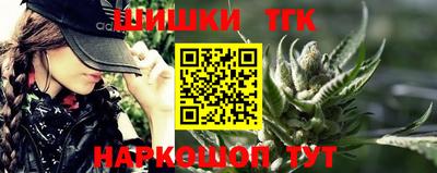 гашик Кингисепп