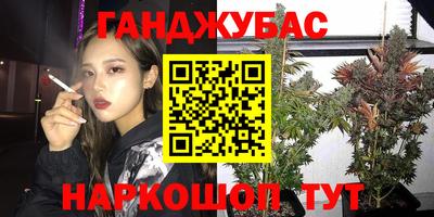 гашик Кингисепп