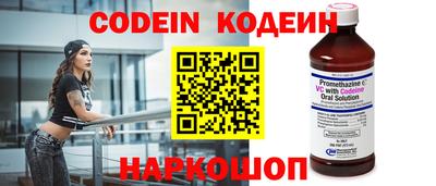 гашик Кингисепп