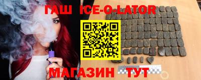 гашик Кингисепп