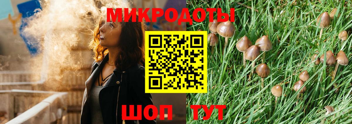 Галлюциногенные грибы GOLDEN TEACHER Кубинка