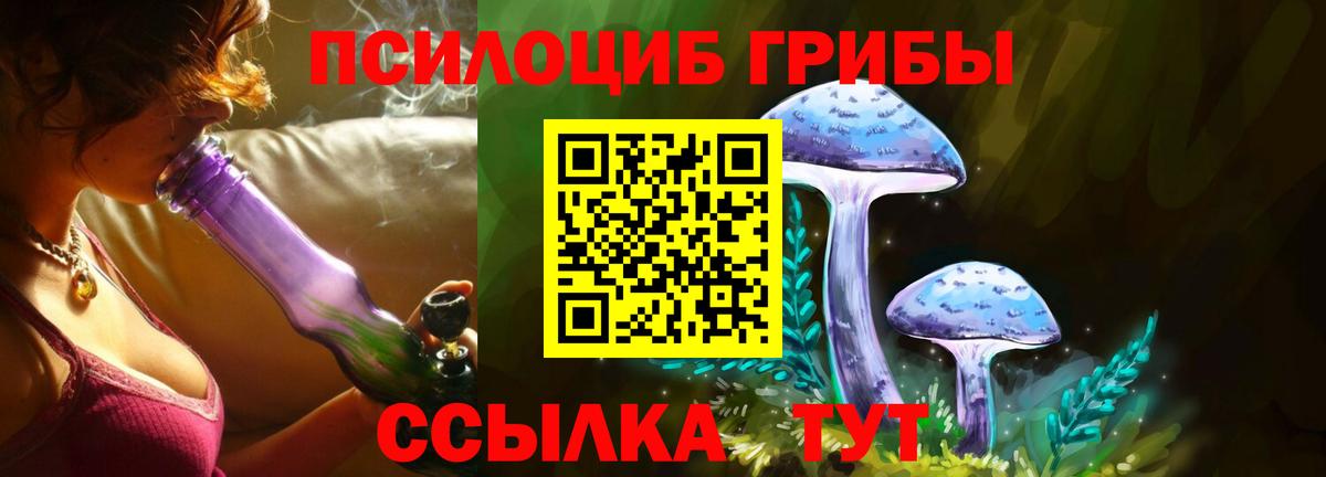 Кубинка  Псилоцибиновые грибы Cubensis  Вход с VPN 